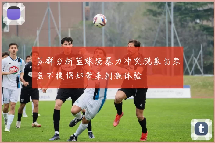 苏群分析篮球场暴力冲突现象打架虽不提倡却带来刺激体验