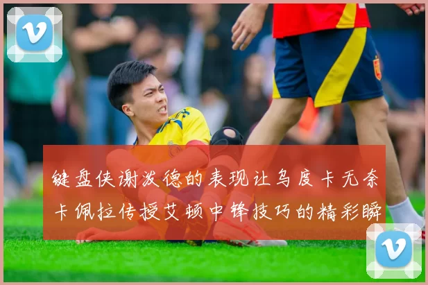 键盘侠谢泼德的表现让乌度卡无奈卡佩拉传授艾顿中锋技巧的精彩瞬间