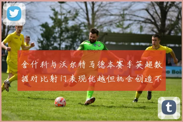 舍什科与沃尔特马德本赛季英超数据对比射门表现优越但机会创造不足