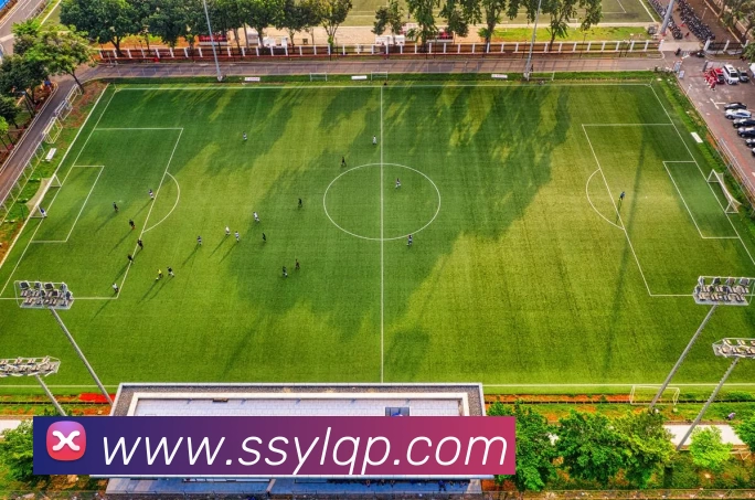 盛世娱乐棋牌APP 封面图